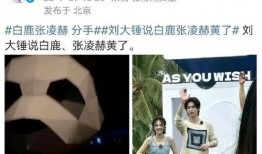 吃瓜网每日大赛 娱乐圈是我的,揭秘每日大赛背后的精彩故事